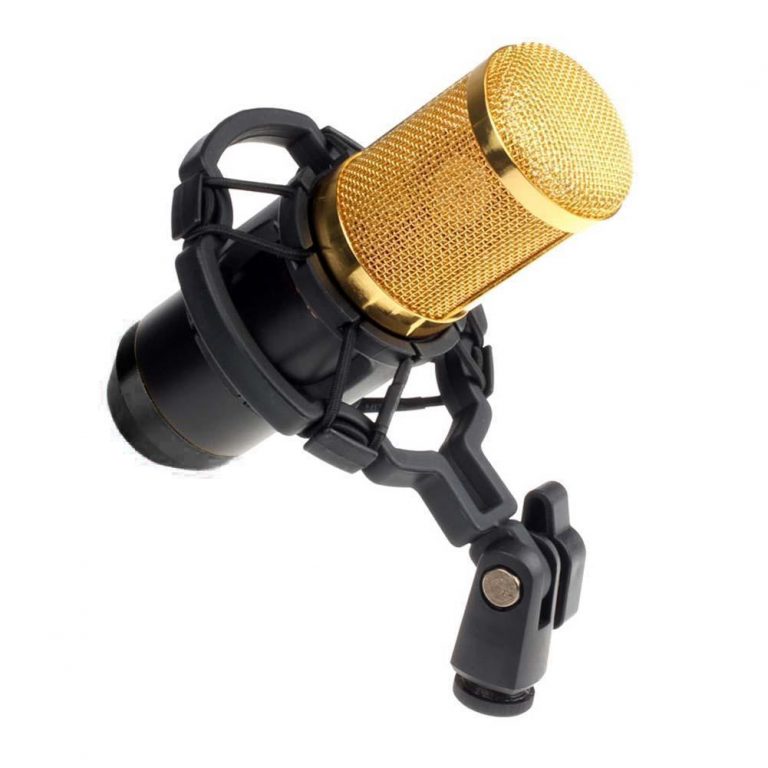 bm800 condenser mic fl studio vocal presets